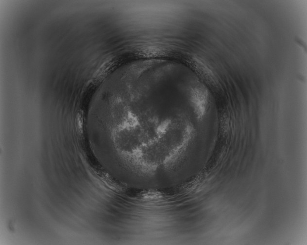 X0000097870214200803281209