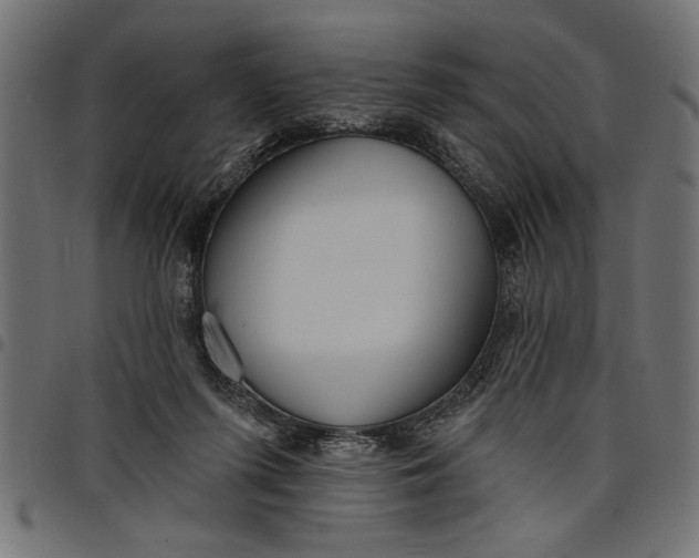 X0000097870215200803281209