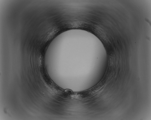 X0000097870216200803281209