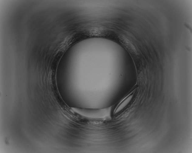 X0000097870217200803281209