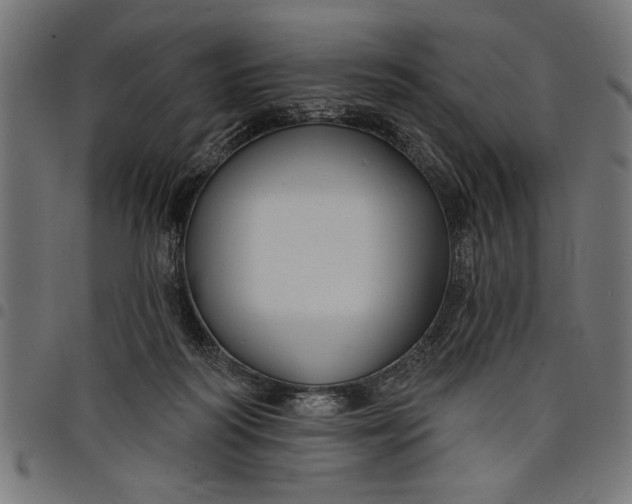 X0000097870218200803281209