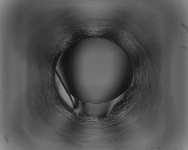 X0000097870219200803281209