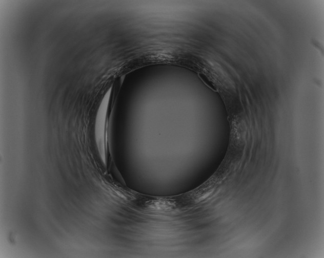 X0000097870223200803281209