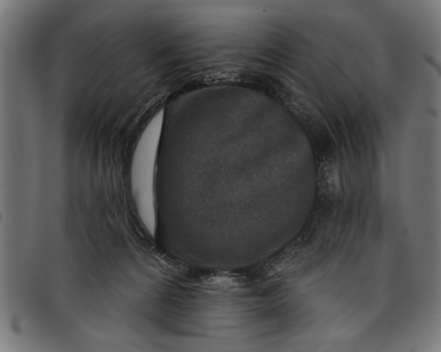 X0000097870224200803281209