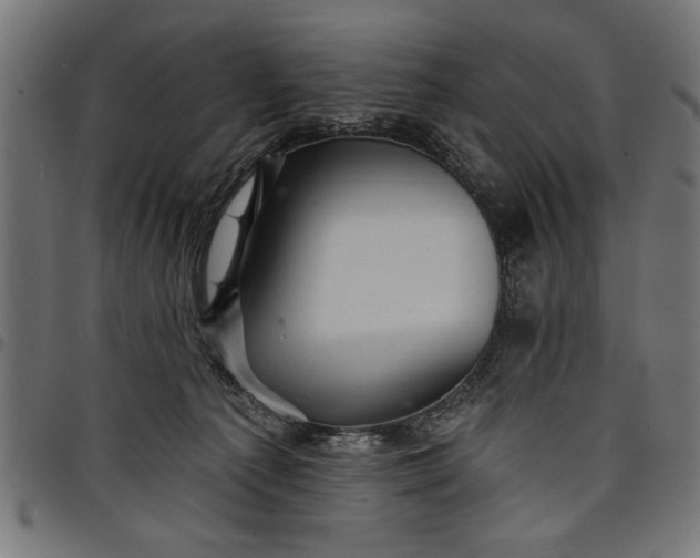 X0000097870225200803281209