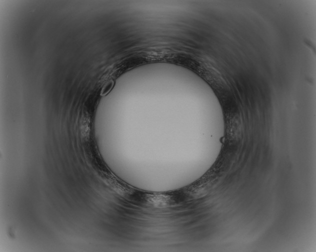 X0000097870226200803281208