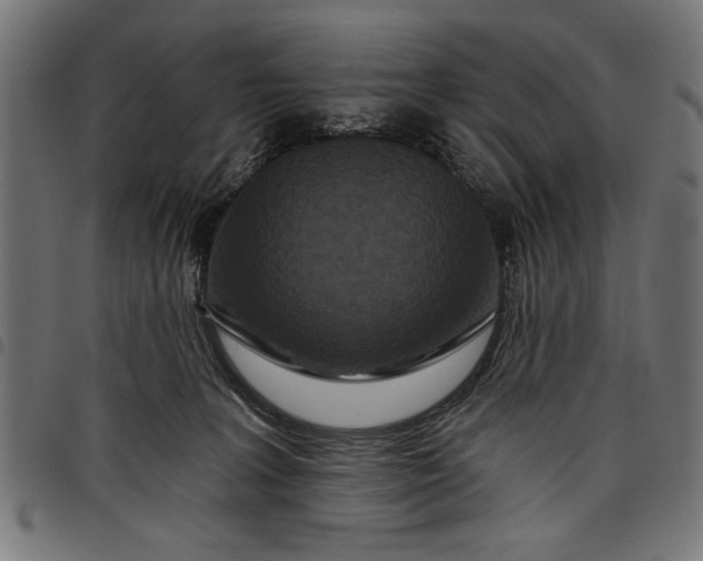 X0000097870227200803281208