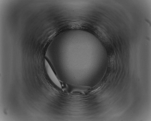 X0000097870228200803281208