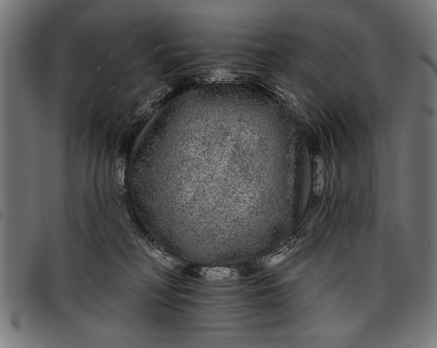 X0000097870230200803281208