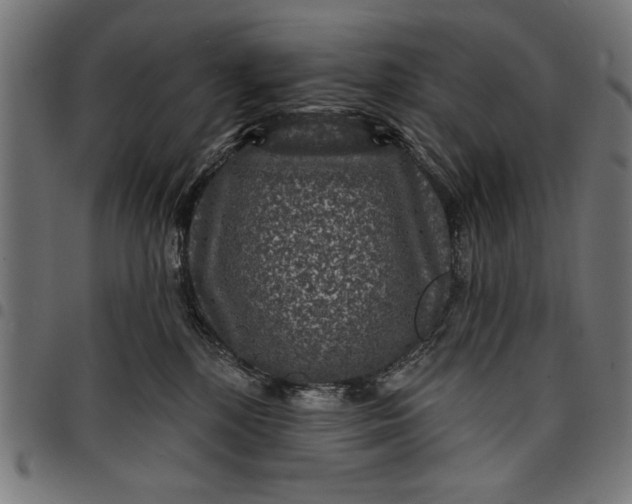X0000097870232200803281208
