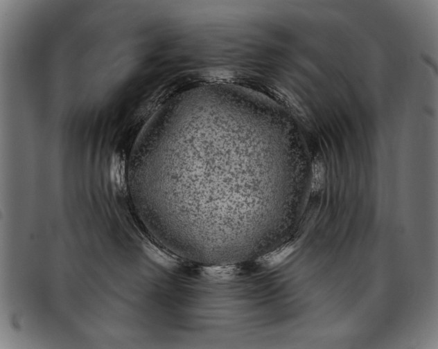 X0000097870238200803281208