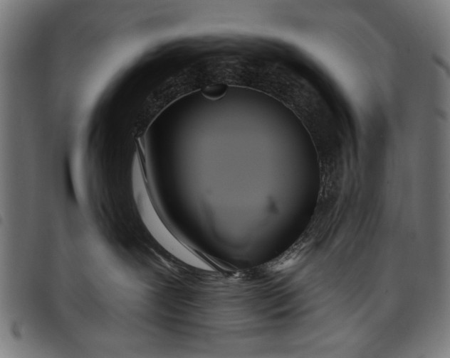 X0000097870239200803281208