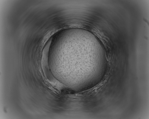 X0000097870241200803281208