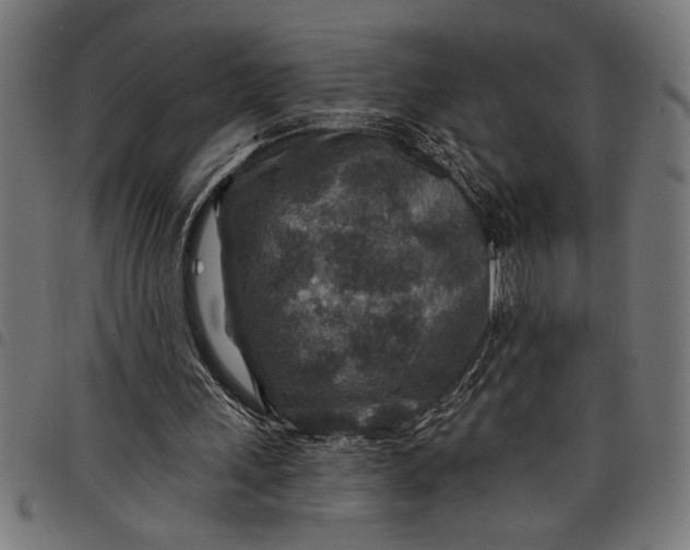 X0000097870243200803281208