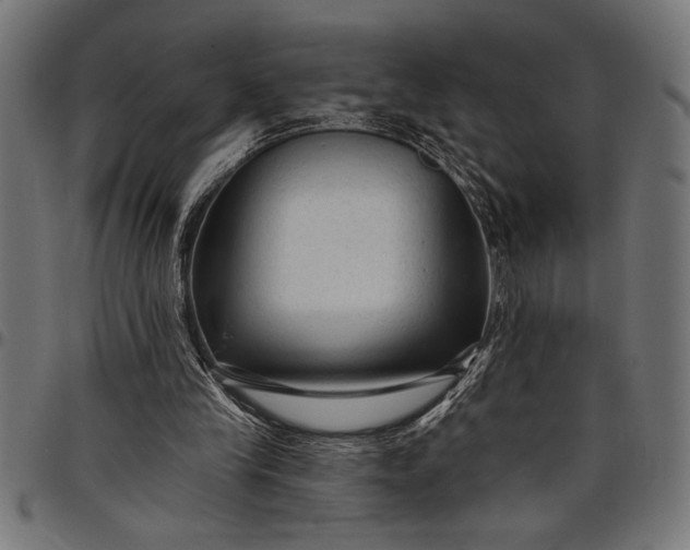 X0000097870245200803281208
