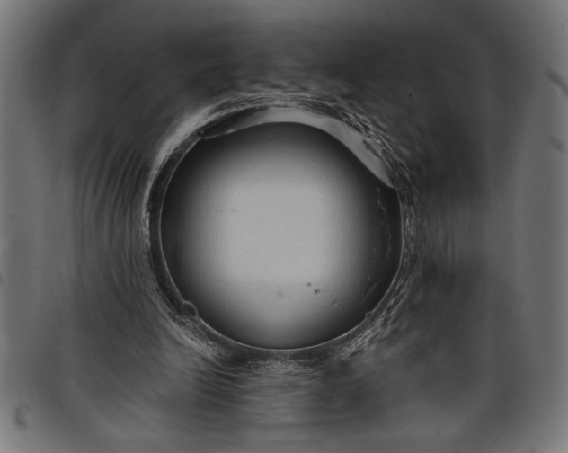 X0000097870246200803281208