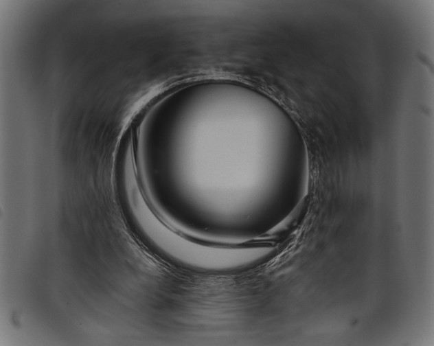 X0000097870248200803281208
