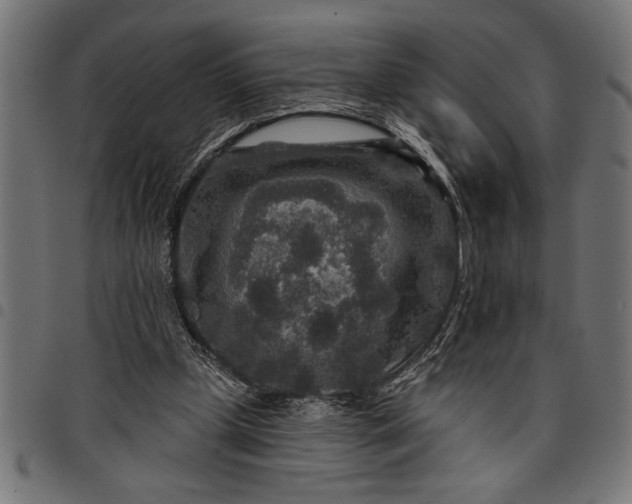 X0000097870249200803281208