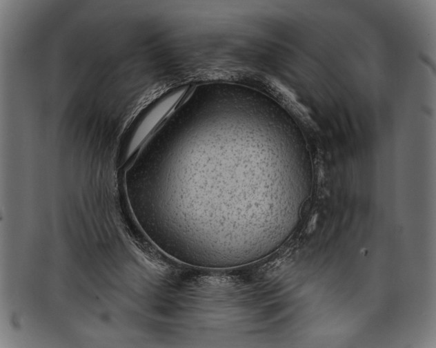 X0000097870250200803281208