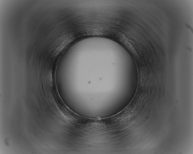 X0000097870251200803281208