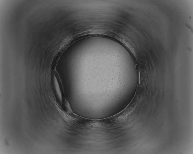 X0000097870253200803281208