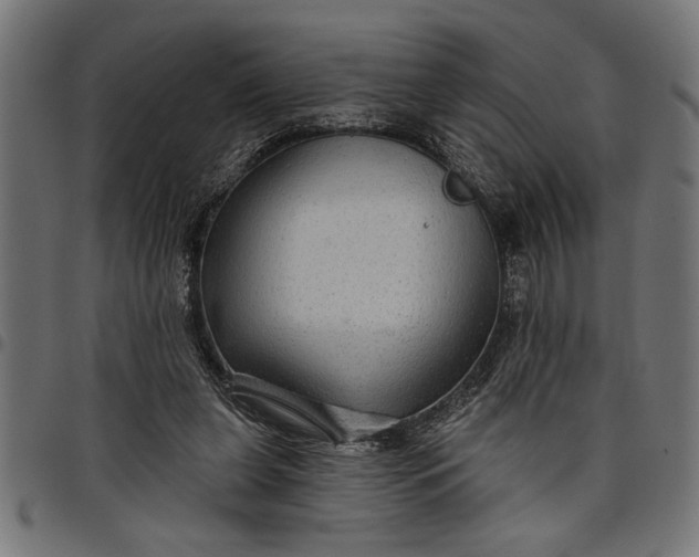 X0000097870255200803281208
