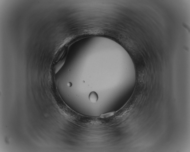 X0000097870256200803281208