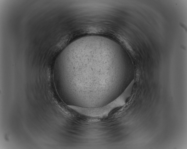 X0000097870257200803281208