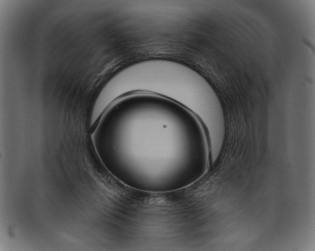 X0000097870262200803281208