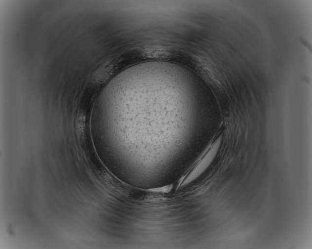 X0000097870263200803281208