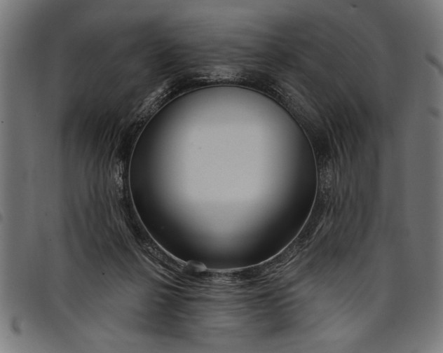 X0000097870264200803281208