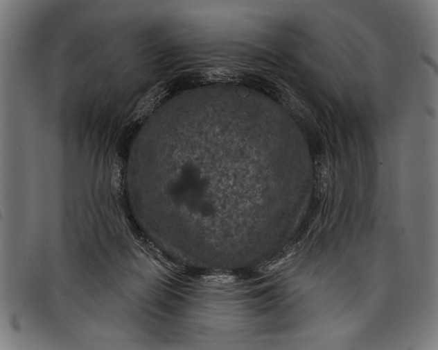 X0000097870266200803281208