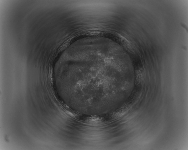 X0000097870267200803281208
