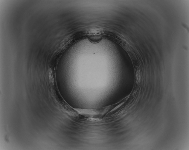 X0000097870270200803281208
