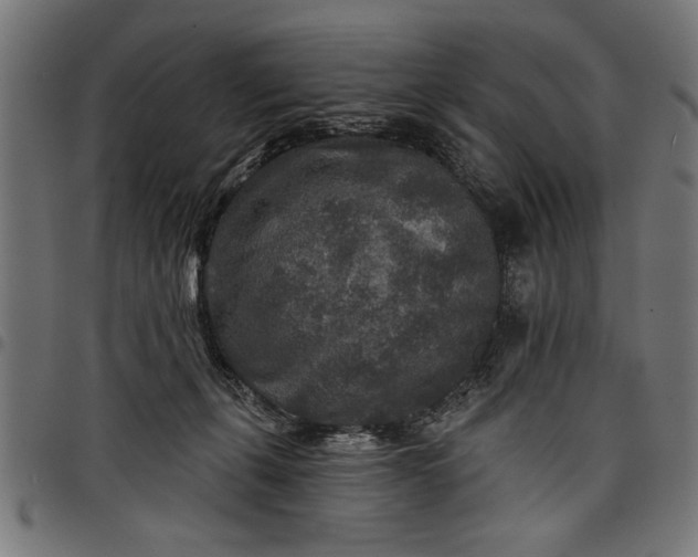 X0000097870271200803281208