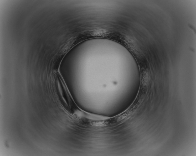 X0000097870273200803281208