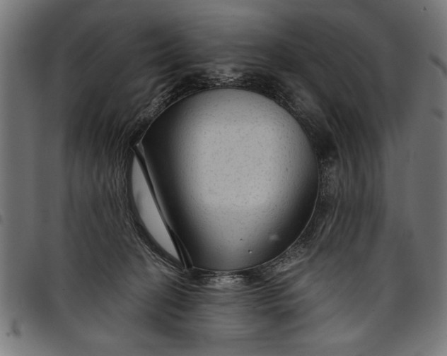 X0000097870274200803281208