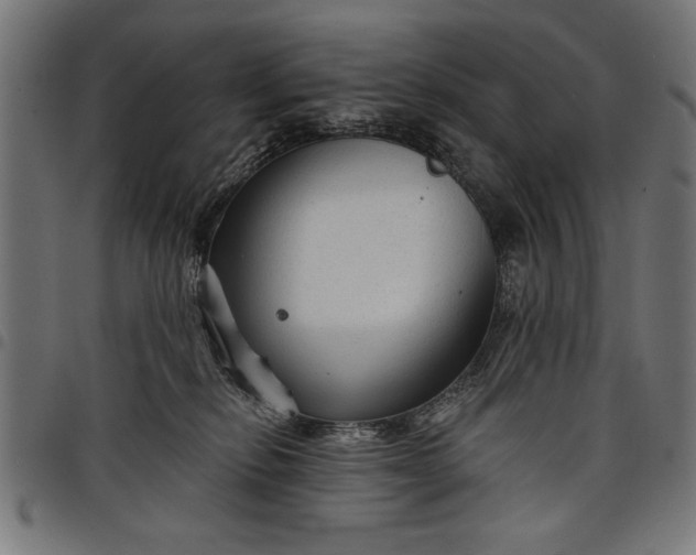 X0000097870278200803281208