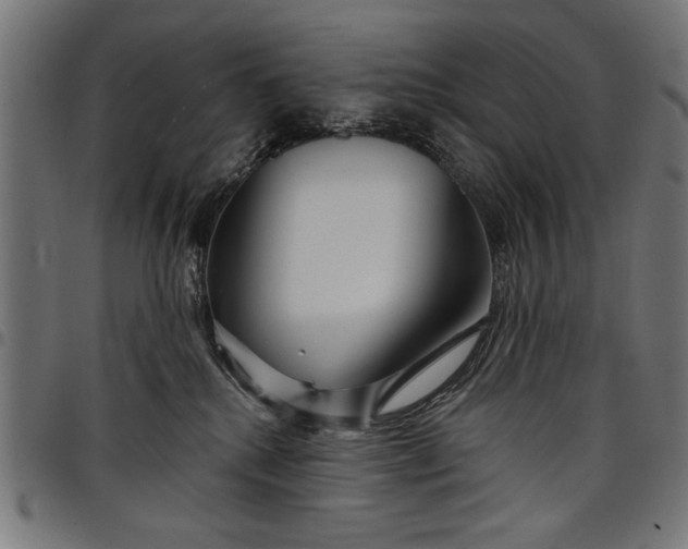 X0000097870280200803281208