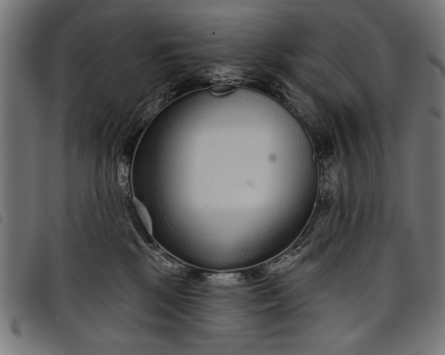 X0000097870281200803281208