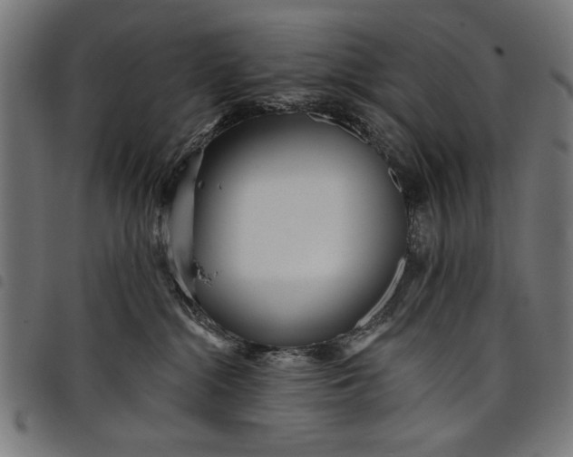 X0000097870284200803281208