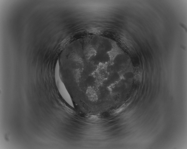X0000097870285200803281208
