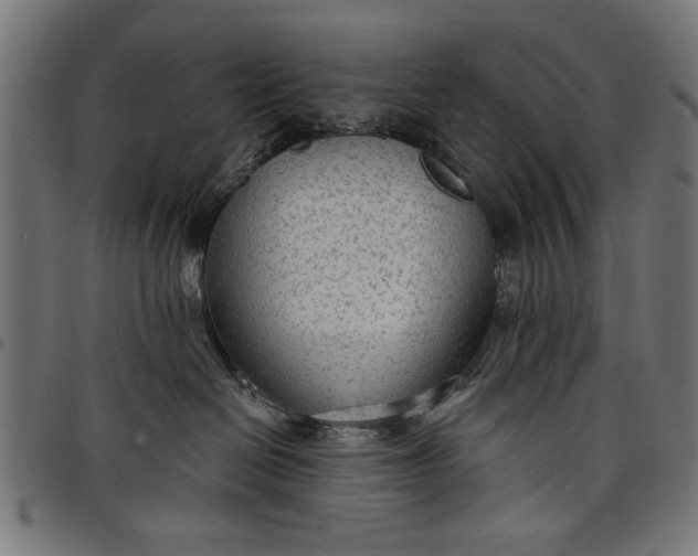 X0000097870286200803281208