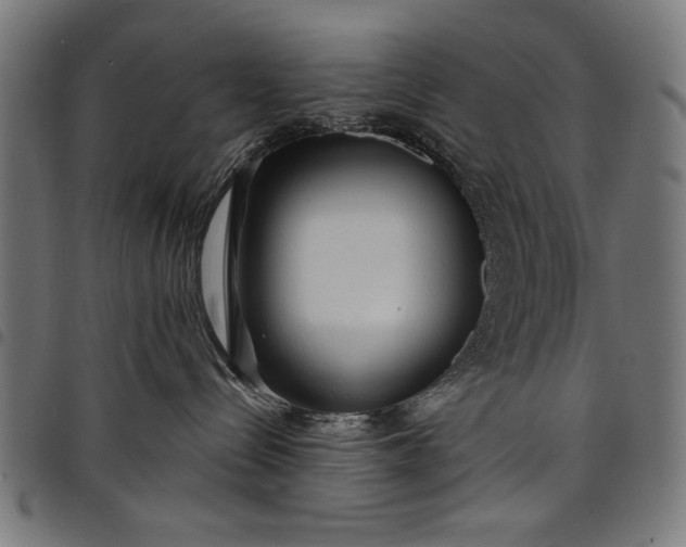 X0000097870288200803281208