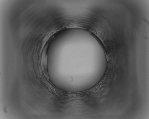 X0000097870289200803281208