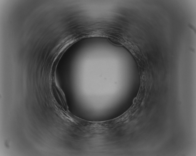 X0000097870290200803281208
