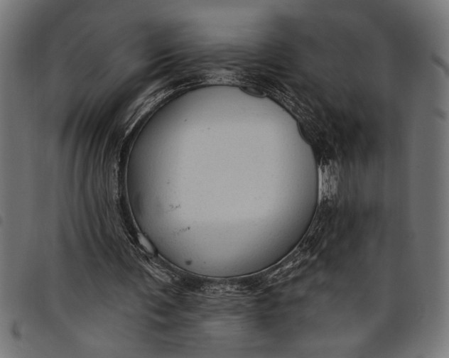 X0000097870291200803281208