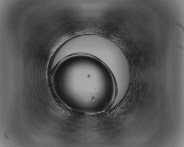 X0000097870292200803281208