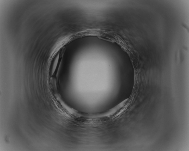 X0000097870293200803281208