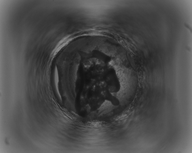 X0000097870295200803281208